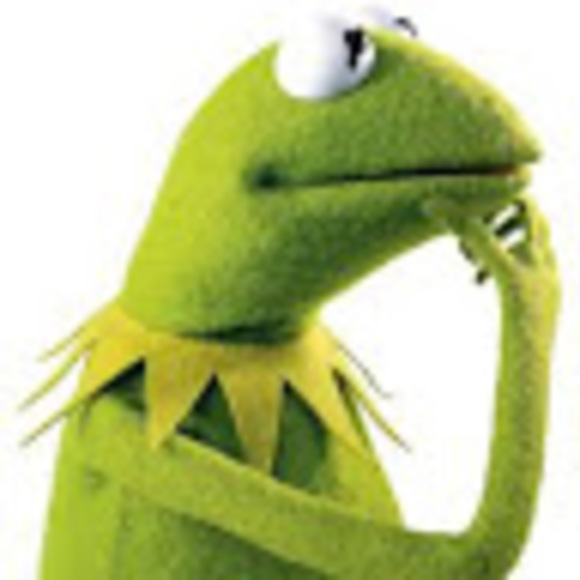 Meet your Posher, Ethan - Picture 1 of 1